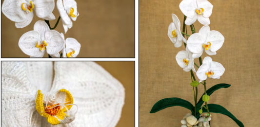 Moth Orchid Crochet Pattern