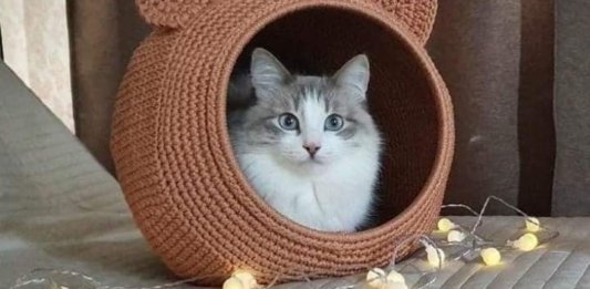 Cat House Crochet Free Pattern